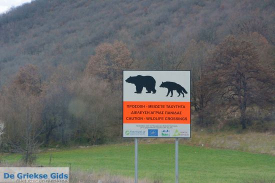 Beren in Griekenland